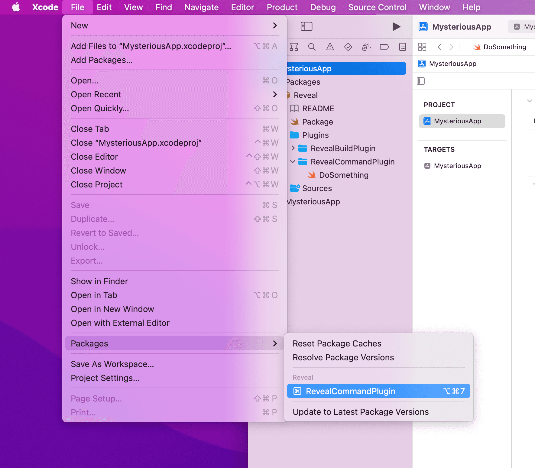 Add a keyboard shortcut to Swift package command plugins